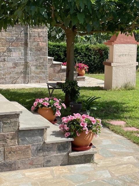Holiday home Trifili Ormos Panagias