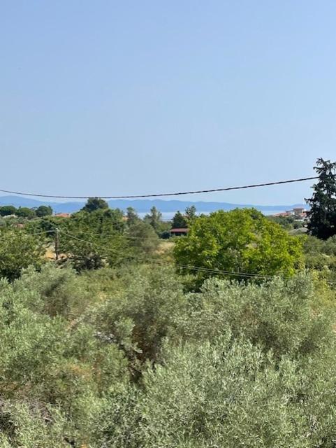 Trifili